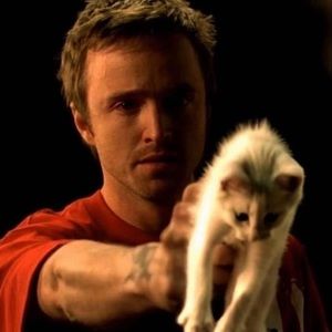 Meet your Posher, The jonkler